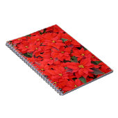 Red Poinsettias Iクリスマスホリデーフローラ写真 ノートブック (右側)