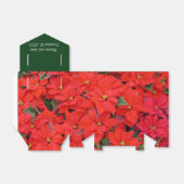 Red Poinsettias Iクリスマスホリデーフローラ写真 フェイバーボックス (折り畳みなし)