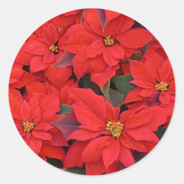 Red Poinsettias Iクリスマスホリデーフローラ写真 ラウンドシール