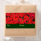 Red Poinsettias Iクリスマスホリデーフローラ写真 ラベル (インサイチュ)
