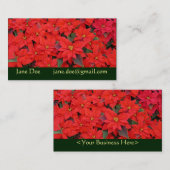 Red Poinsettias Iクリスマスホリデーフローラ写真 名刺 (正面/裏面)