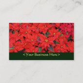 Red Poinsettias Iクリスマスホリデーフローラ写真 名刺 (裏面)