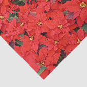 Red Poinsettias Iクリスマスホリデーフローラ写真 薄葉紙 (詳細)