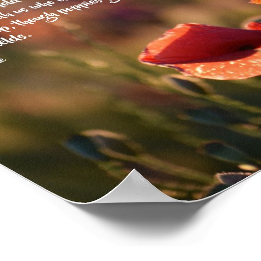 Red Poppies, In Flanders Fields Poem ポスター (角)