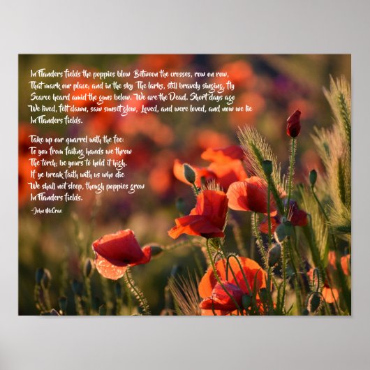 Red Poppies, In Flanders Fields Poem ポスター (正面)