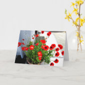 Red Poppies photo greeting card カード (黄色い花)