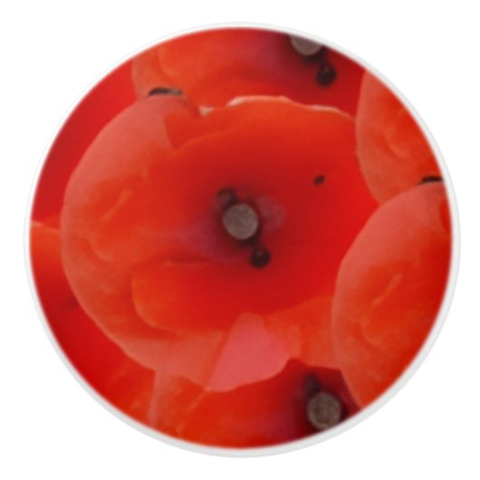 Red Poppoes Design Ceramic Pull Handles セラミックノブ (正面)