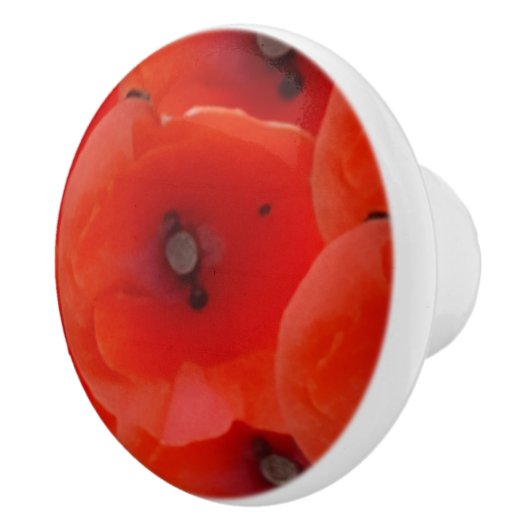 Red Poppoes Design Ceramic Pull Handles セラミックノブ (右)