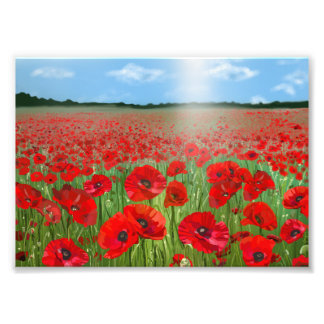 Red poppy field wall art decor landscape フォトプリント