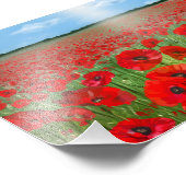 Red poppy field wall art decor landscape フォトプリント (角)