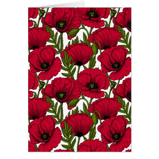 Red Poppy garden 2 (正面)