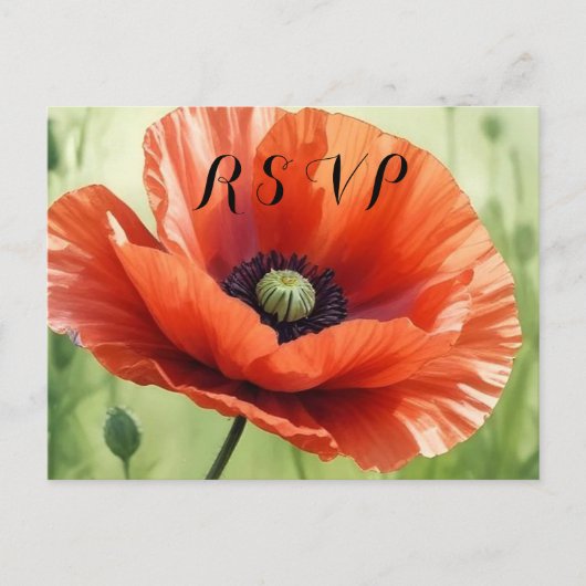 Red Poppy RSVP Postcard インビテーションポストカード (正面)