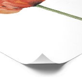 Red Poppy Watercolor Botanical Print フォトプリント (角)