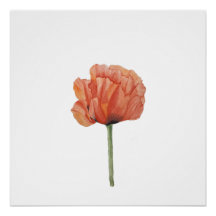 Red Poppy Watercolor Botanical Print
