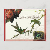 Red Protea Hummingbirds – 日付ポストカードを保存 案内ポストカード (正面)