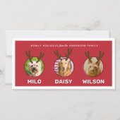 Red Reinpet 3 Photo Pet Christmas Holiday Card シーズンカード (正面)