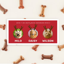 Red Reinpet 3 Photo Pet Christmas Holiday Card
