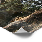 Red River Gorge, KY - Skybridgeのポスター ポスター (角)