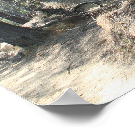 Red River Gorge, KY - Skybridge 2ポスター ポスター (角)