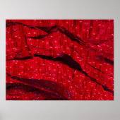 Red Rock Liteポスター ポスター (正面)