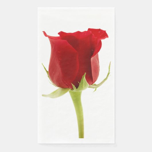 Red rose (正面)
