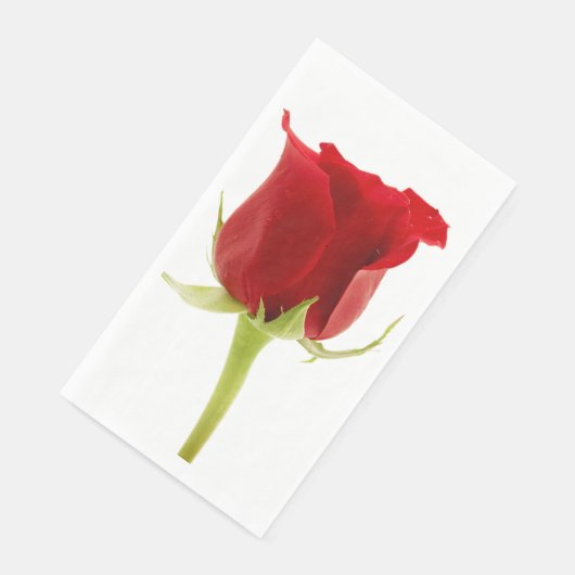Red rose (コーナー)
