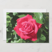 Red Rose シーズンカード (正面)