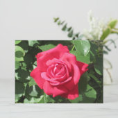 Red Rose シーズンカード (スタンド正面)