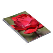Red Rose ノートブック (右側)