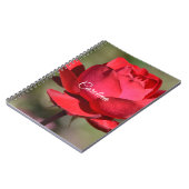 Red Rose ノートブック (左側)