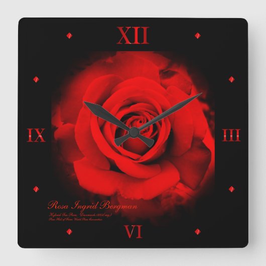Red Rose:Acrylic Wall Clock スクエア壁時計 (正面)