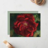 Red Rose Art Flower Floral Note Card Set ノートカード (正面/裏面インサイチュ)