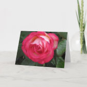 Red Rose Greeting Card 案内状 (正面)