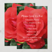 Red Rose In Bloom Floral  招待状 (正面/裏面)