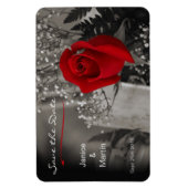 Red Rose on Black and White Save the Date マグネット (縦)