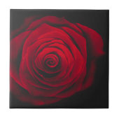 Red rose on black background vintage effect タイル (正面)