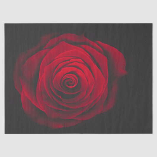 Red rose on black background vintage effect 薄葉紙 (正面)