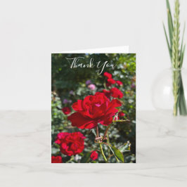 Red Rose Photography Folded Thank You Card  サンキューカード