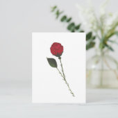 Red Rose Postcard ポストカード (スタンド正面)