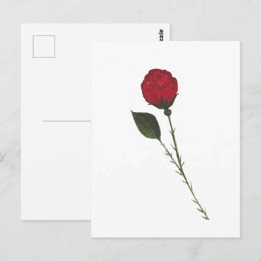 Red Rose Postcard ポストカード (正面/裏面)