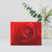 Red Rose Postcard ポストカード (スタンド正面)