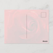 Red Rose Postcard ポストカード (裏面)