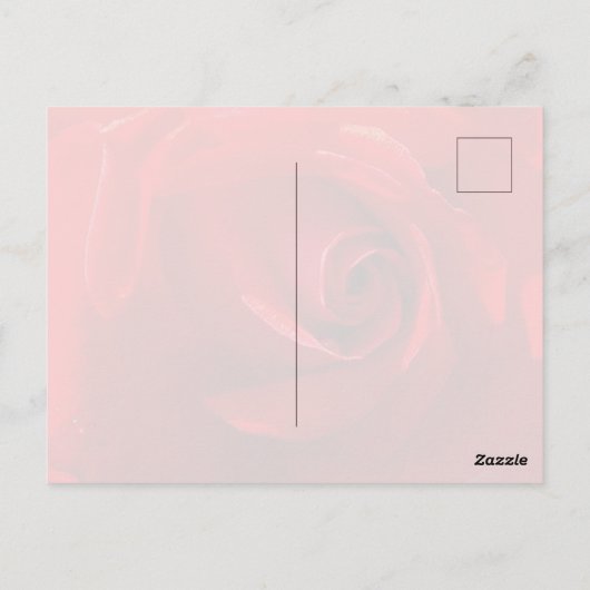 Red Rose Postcard ポストカード (裏面)