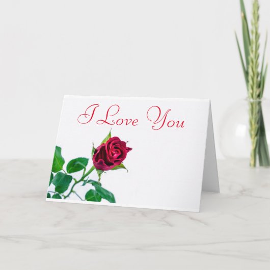 Red Rose White Background I love you シーズンカード (正面)
