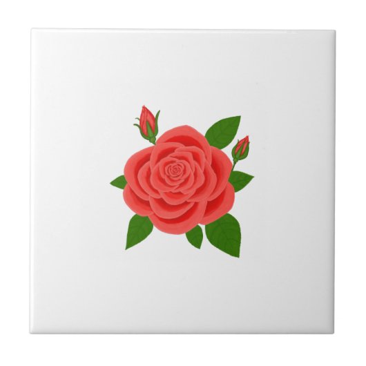 Red Rose With Buds White Ceramic Tile タイル (正面)