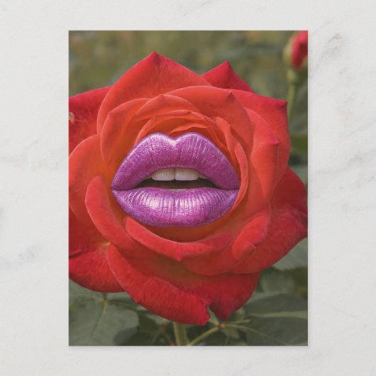 Red Rose with Pink Lips Collage ポストカード (正面)