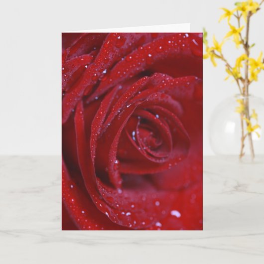 Red rose with water drops Greeting card with love カード (黄色い花)