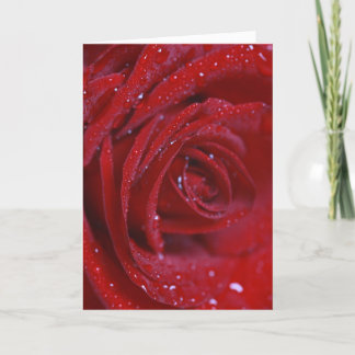 Red rose with water drops Greeting card with love カード