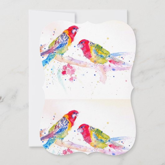 Red Rosella Parrot Boys Birthday Invitation 招待状 (裏面)