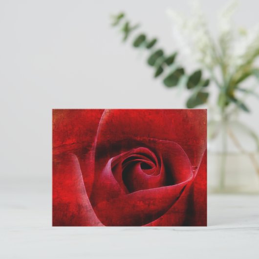 Red Rosesマクロ。 ポストカード (スタンド正面)